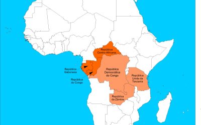 Conferência Central da África Central Elege Três Novos Bispos em Sessão Histórica